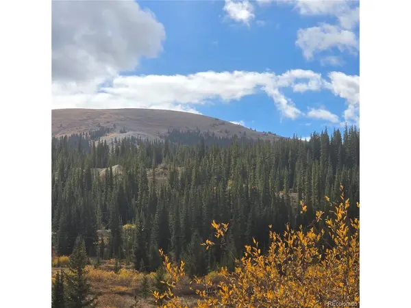 5347 Monitor Lode Claims, Leadville, CO 80461