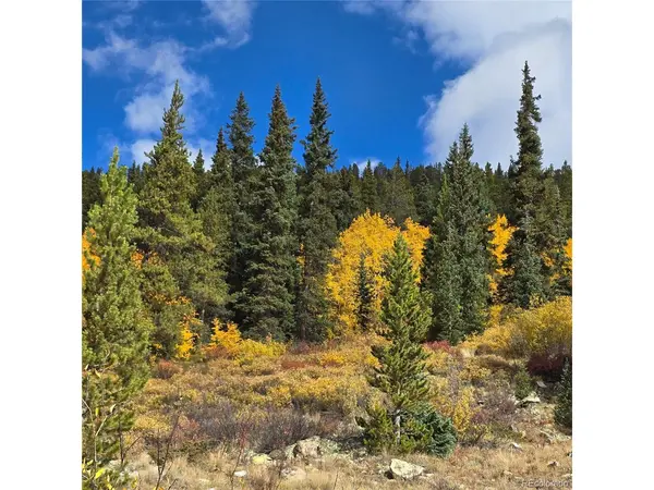 5347 Monitor Lode Claims, Leadville, CO 80461