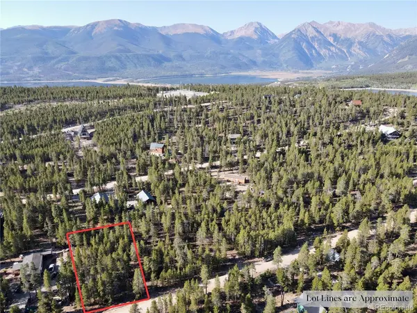 776 Birch, Twin Lakes, CO 80461