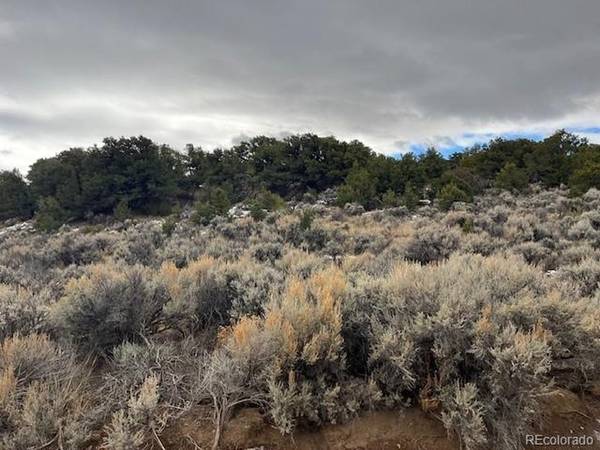 2087 Sandoval, Fort Garland, CO 81133