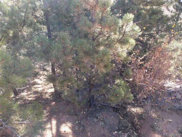1944 May Queen, Cripple Creek, CO 80813