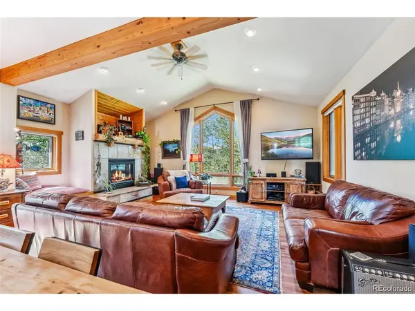 228 Glacier Ridge, Alma, CO 80420