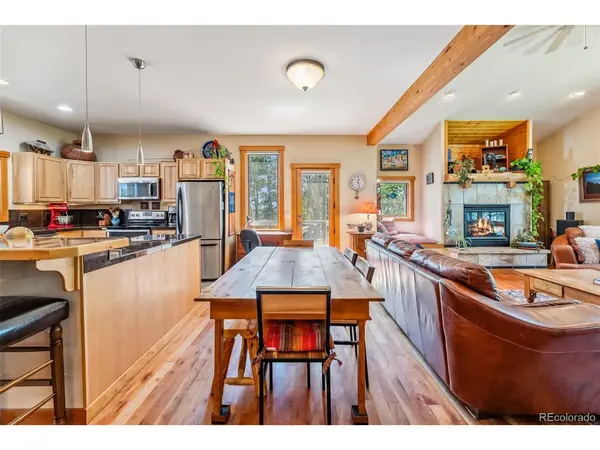 228 Glacier Ridge, Alma, CO 80420