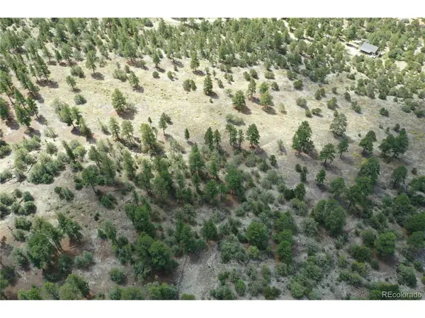 Pawnee, Mosca, CO 81146