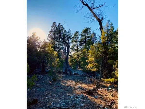 Pawnee, Mosca, CO 81146