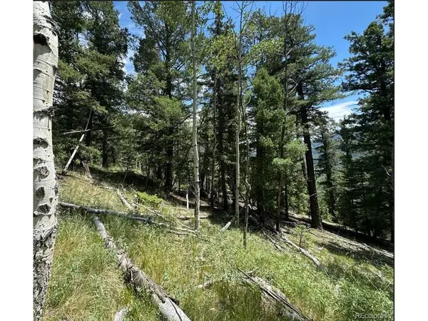 TBD Calkins, Jasper, CO 81146