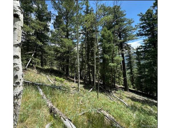 TBD Calkins, Jasper, CO 81146