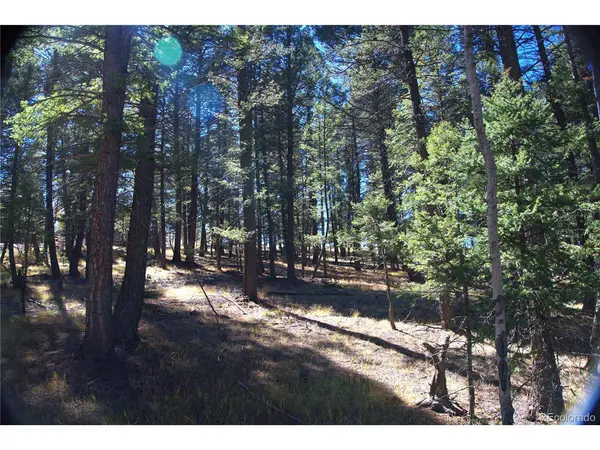 252 Southpark, Florissant, CO 80816
