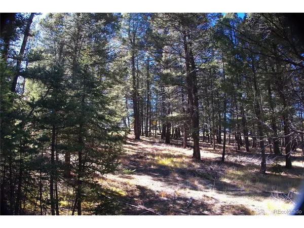 252 Southpark, Florissant, CO 80816