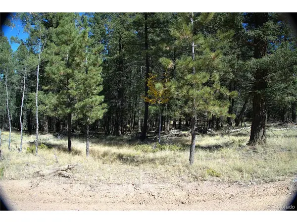252 Southpark, Florissant, CO 80816