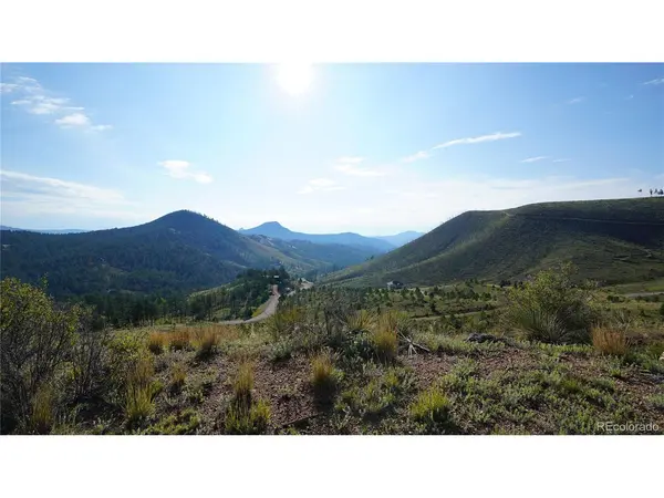 15831 S Sioux, Pine, CO 80470