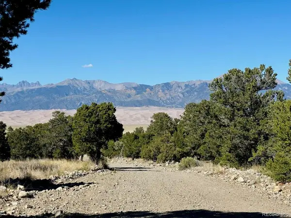 133 Cedar Ridge, Mosca, CO 81146