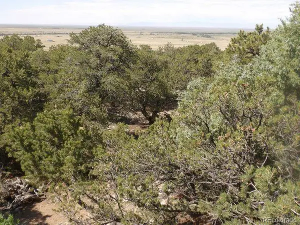 2720 N Carefree, Crestone, CO 81131
