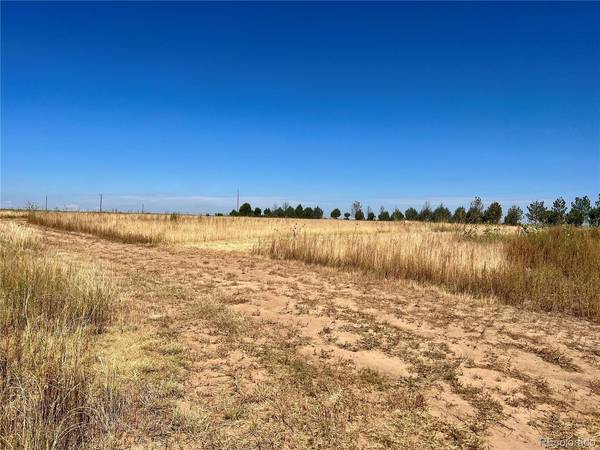 46850 County Road 46, Limon, CO 80828