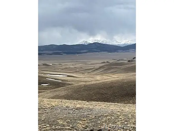 0 Black Beaver, Hartsel, CO 80449