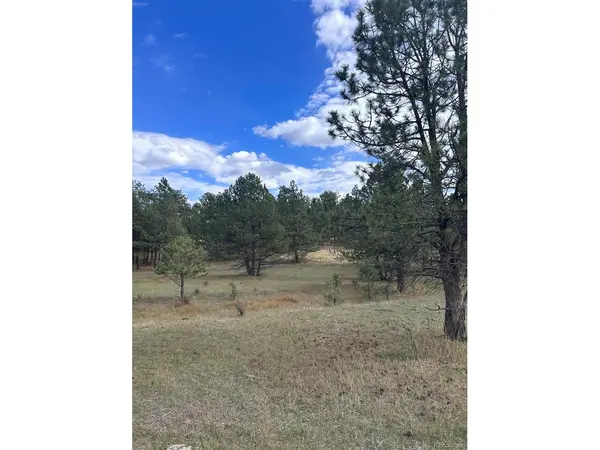 382 Arrowhead, Florissant, CO 80816