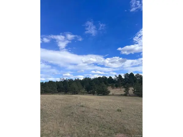 382 Arrowhead, Florissant, CO 80816