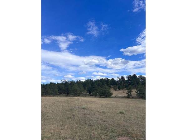 382 Arrowhead, Florissant, CO 80816