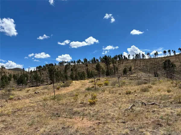5 DE Montalmbert, Fort Garland, CO 81133