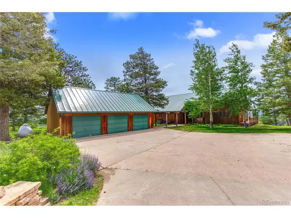 8834 Deiffendeffer, Rye, CO 81069