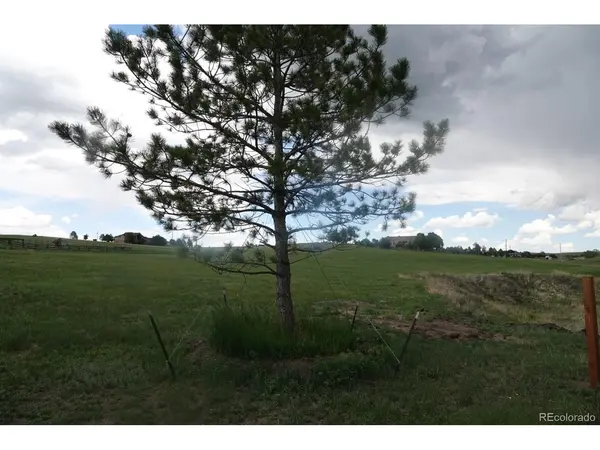 3131 Antelope Ridge, Parker, CO 80138