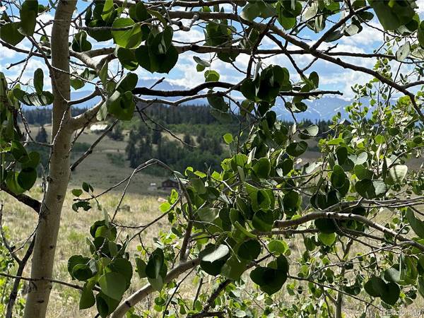 98 Wabeno, Jefferson, CO 80456