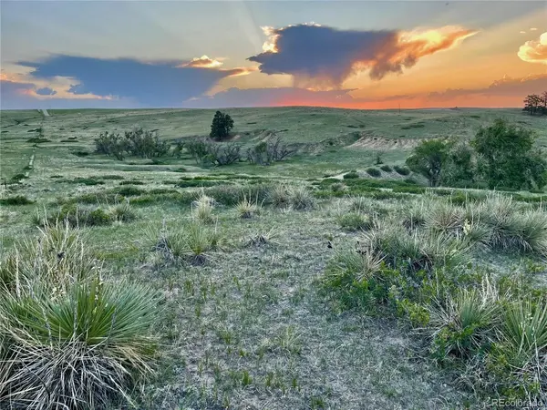 0 Lot 20 Stillness, Kiowa, CO 80117