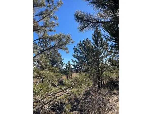 0 Oak, Hartsel, CO 80449