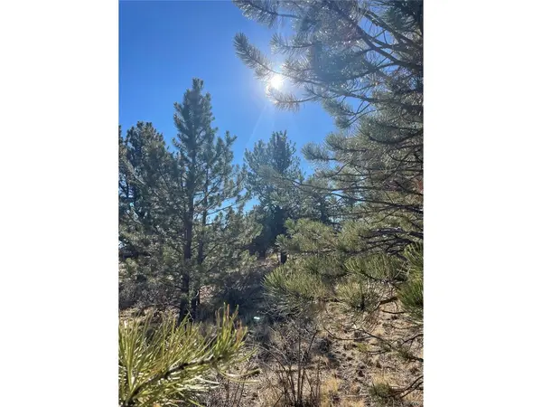 0 Oak, Hartsel, CO 80449