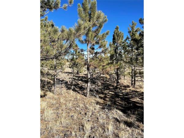 0 Oak, Hartsel, CO 80449