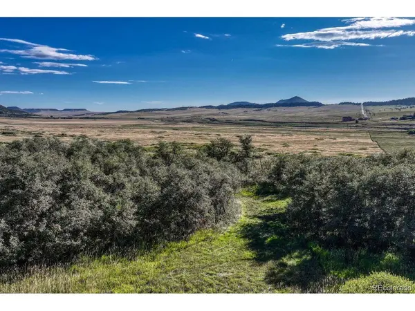 15989 S Perry Park, Larkspur, CO 80118