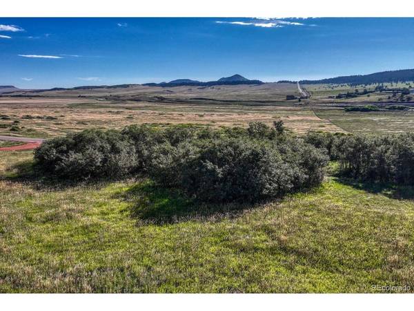 15989 S Perry Park, Larkspur, CO 80118