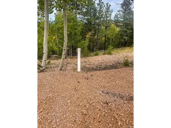 599 Dandy Jim, Cripple Creek, CO 80813