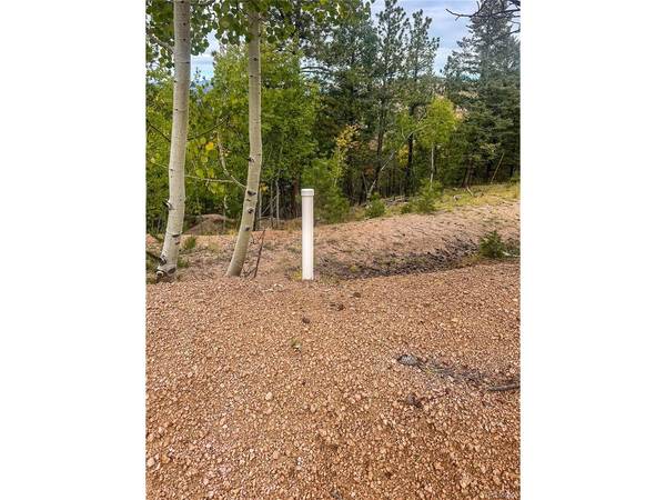 599 Dandy Jim, Cripple Creek, CO 80813