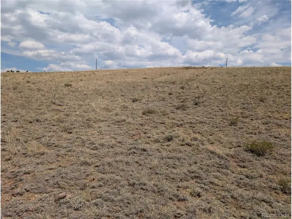 Coyotero, Hartsel, CO 80449