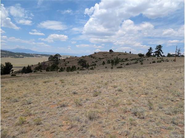 Coyotero, Hartsel, CO 80449