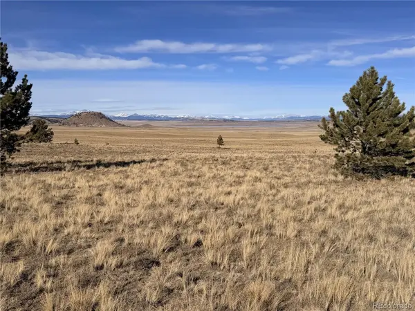 311 Harness, Hartsel, CO 80449