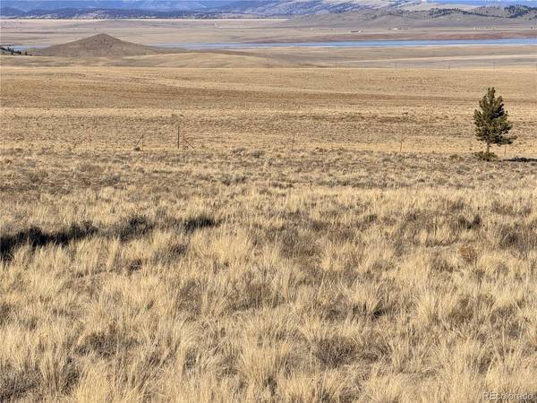 311 Harness, Hartsel, CO 80449