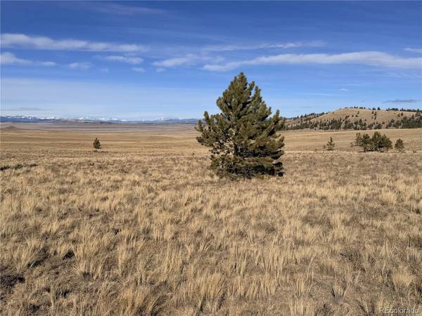 311 Harness, Hartsel, CO 80449