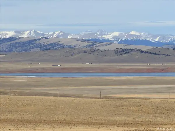 311 Harness, Hartsel, CO 80449