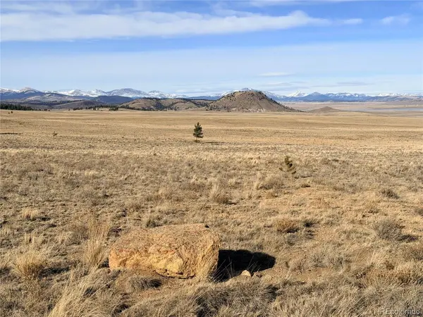 311 Harness, Hartsel, CO 80449
