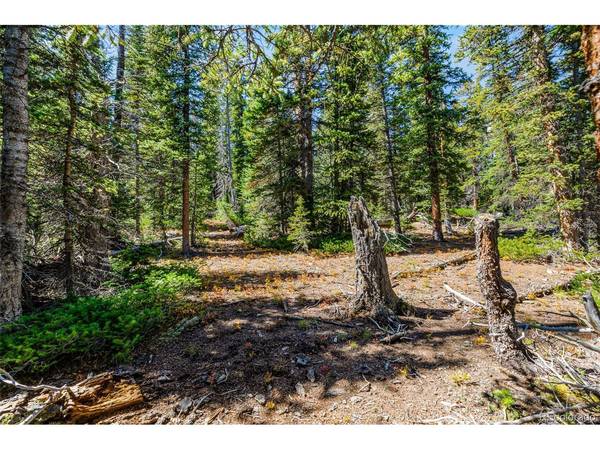 112 Sunshine, Fairplay, CO 80440