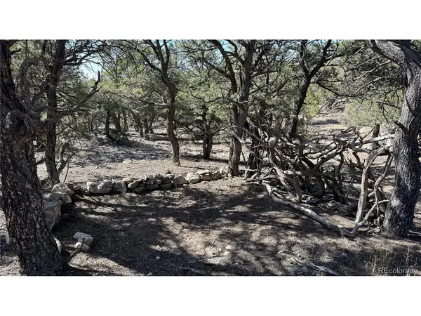 1872 Rockyview, Crestone, CO 81131