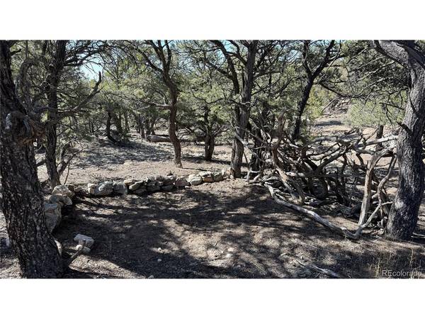 1872 Rockyview, Crestone, CO 81131