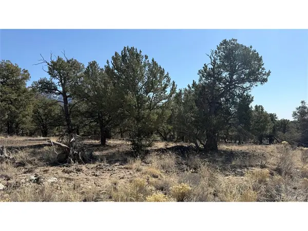 1872 Rockyview, Crestone, CO 81131