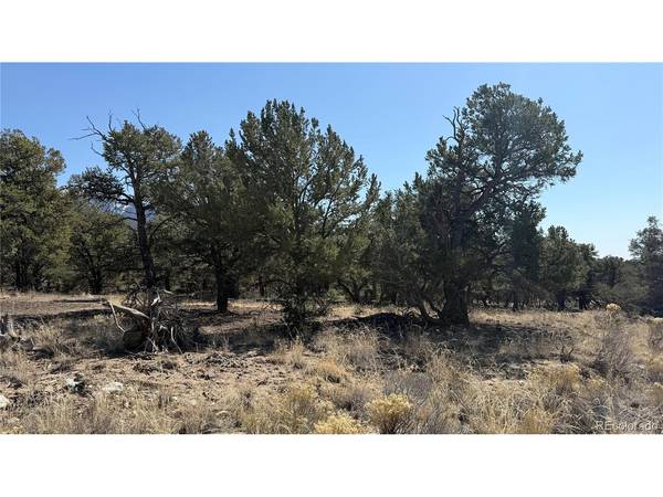 1872 Rockyview, Crestone, CO 81131
