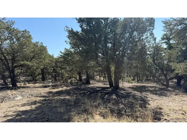 1872 Rockyview, Crestone, CO 81131