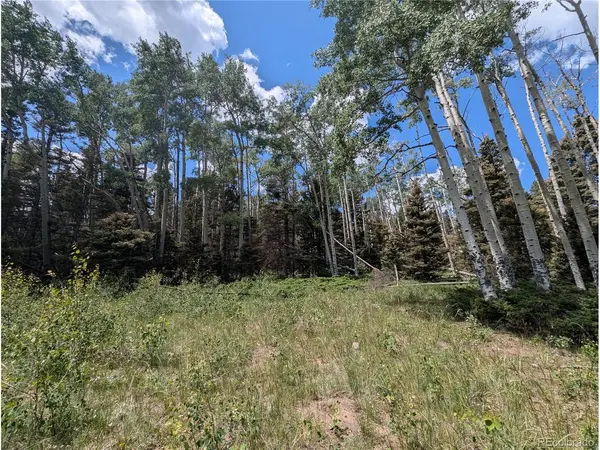 3070 Henderson, Fort Garland, CO 81133