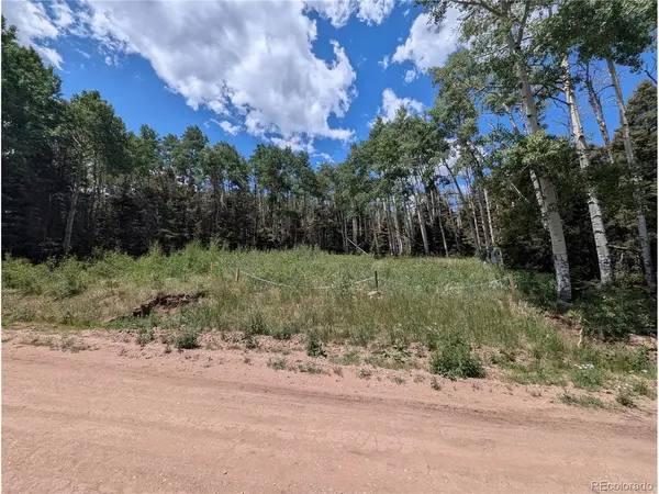 3070 Henderson, Fort Garland, CO 81133