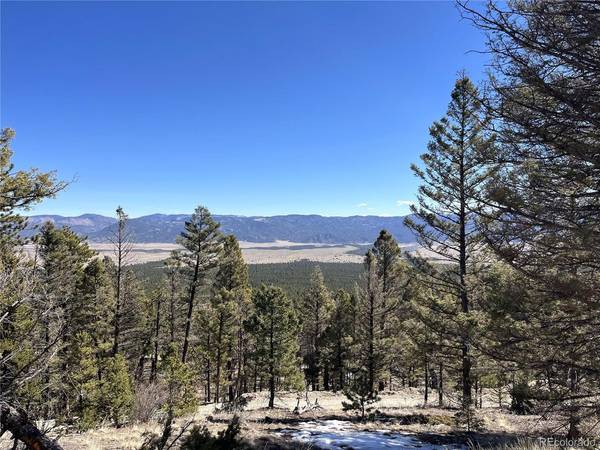 16872 County Road 325, Buena Vista, CO 81236